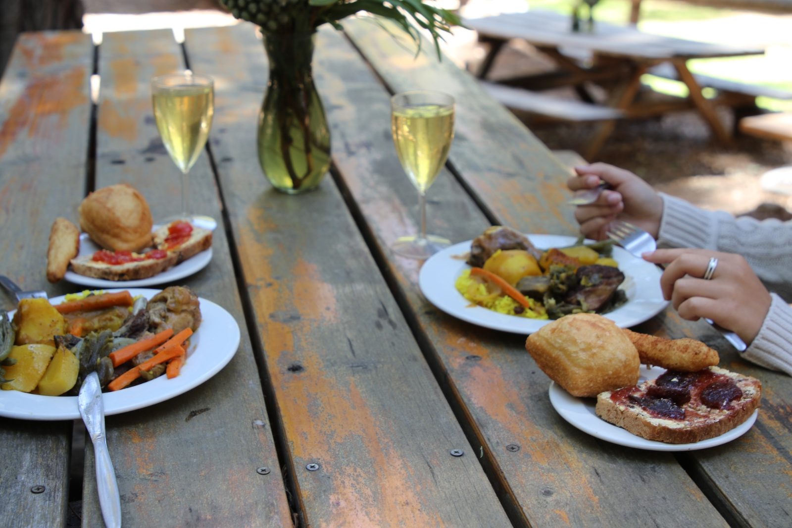 A plate of potjie with bread and a glass of wine on a wooden table