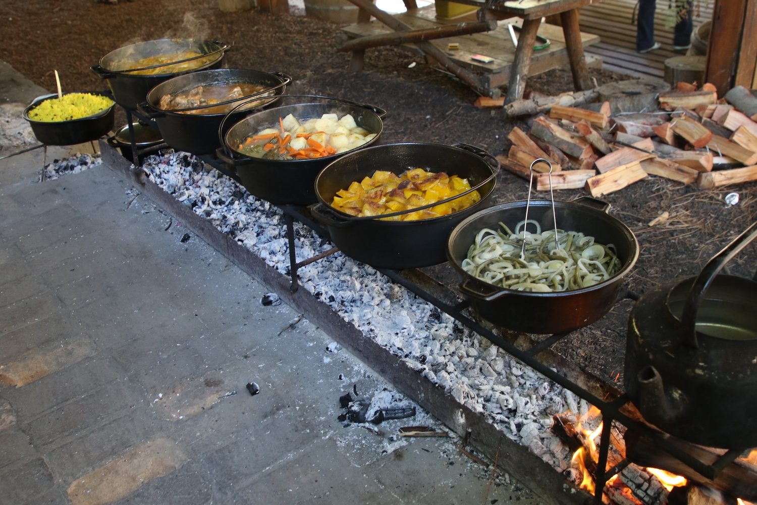 A row of potjies cooking over coals
