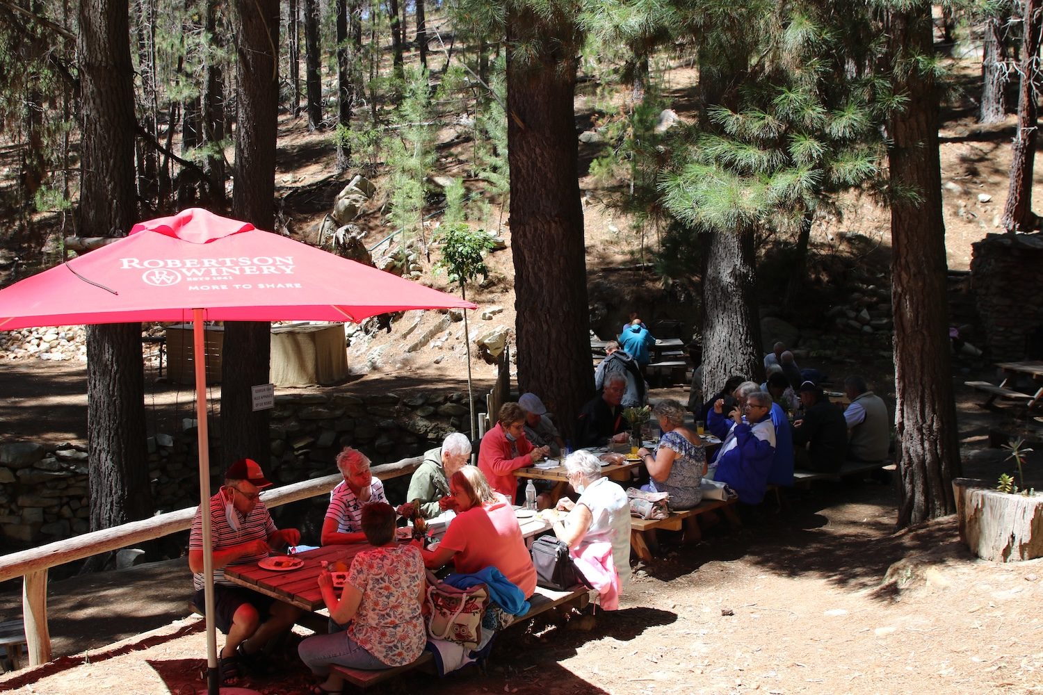 Guests at tables under the pine trees