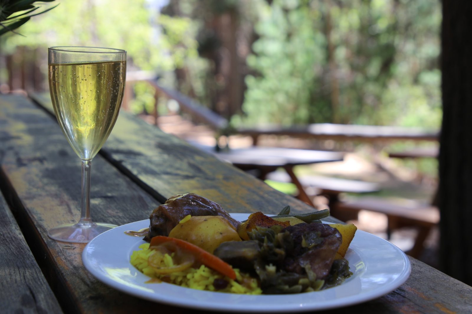 A plate of potjie and a glass of wine on a table in the forest