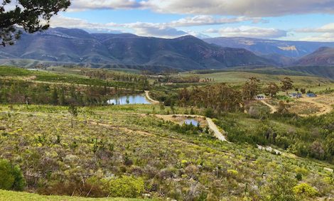 The view from the farm across the Koo Valley towards the mountains